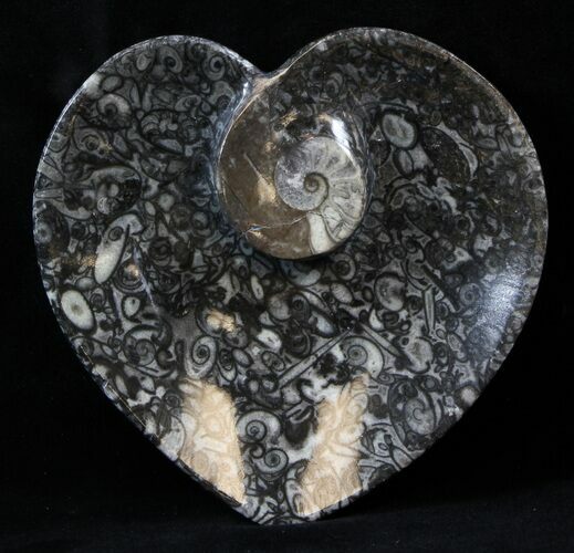 Heart Shaped Fossil Goniatite Dish #39310